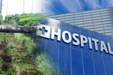 மரம் முறிந்து வீழ்ந்ததில் இரு பெண் தொழிலாளர்கள் வைத்தியசாலையில்(படங்கள்)