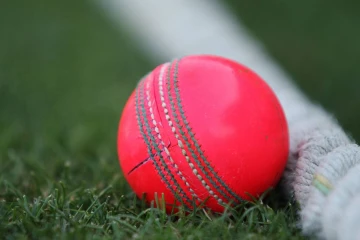 இனி டெஸ்ட் போட்டிகளில் பிங்க் நிற பந்து - ஐசிசி பரிசீலனை