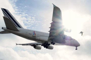 වැසිකිළියේ දොර යැයි සිතා ගුවන් යානයේ දොර විවෘත කල මගියාට සිදු වූ දේ..