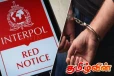 இன்டர்போல் சிவப்பு அறிவிப்புகளுக்கு உட்பட்ட 15 பாதாள உலக உறுப்பினர்கள் கைது