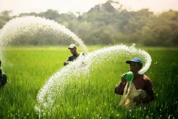 සියලුම ගොවීන්ට විශේෂ දැනුම්දීමක් - ආයේ පොහොර දෙන්නේ මෙහෙම විතරයි
