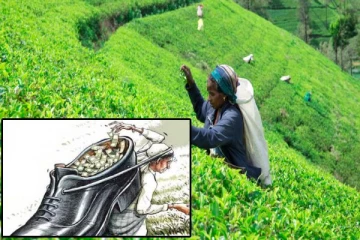 வறுமையை கடப்பதற்கு 200 வருடங்கள் போதவில்லை