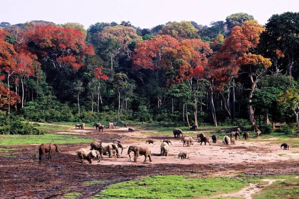 பலி கேட்கிறதா பருவநிலை மாற்றம்? ஆபத்தில் ஆசிய நாடுகள்! | Climate Change Asian Countries At Great Risk பலி கேட்கிறதா பருவநிலை மாற்றம்? ஆபத்தில் ஆசிய நாடுகள்! | Climate Change Asian Countries At Great Risk