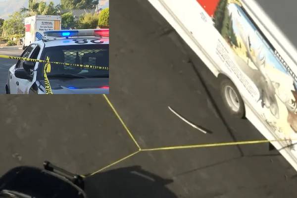 woman sentenced 37 years prison killed wife with sword woman sentenced 37 years prison killed wife with sword