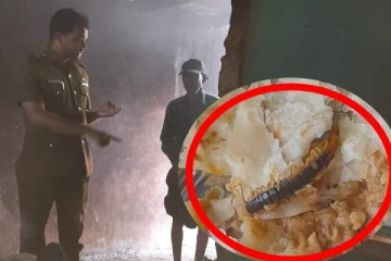 பூரானுடன் வழங்கப்பட்ட உணவு; அதிகாரிகள் அதிரடி நடவடிக்கை(Photos)