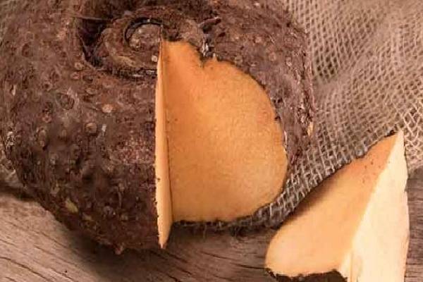 பித்தம் முதல் புற்றுநோய் வரை தீர்வு கொடுக்கும் கருணை கிழங்கு வறுவல்! இப்படி செய்து பாருங்க | Amazing Health Benefits Karunai Kizhangu Varuval