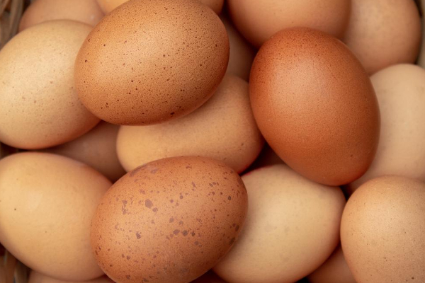 ஒரு முட்டைக்கு விதிக்கப்பட்ட ஒரு இலட்சம் அபராதம் | A Fine Of One Lakh Per Egg