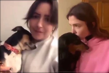 9 மில்லியன் பேர் ரசித்த அட்டகாசமான காட்சி: பெண் கொடுத்த முத்தத்திற்கு நாயின் ரியாக்ஷனைப் பாருங்க