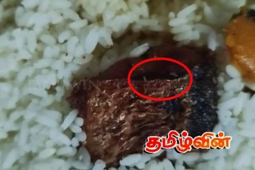 முல்லைத்தீவில் உணவுப் பொதி வாங்கி சென்றவருக்கு காத்திருந்த அதிர்ச்சி