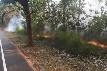 முல்லைத்தீவு - முள்ளியவளையிலுள்ள தேக்கங்காட்டில் தீ பரவல்