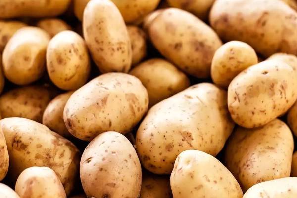 சிவப்பு அல்லது வெள்ளை இந்த இரண்டு உருளைக்கிழங்கில் எது அதிக நன்மை தரும்? | Which Potato Is More Beneficial Red Or White