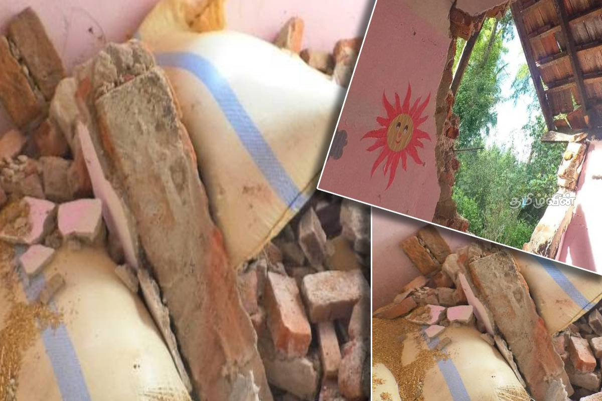 நாட்டில் மனித வாழ்வாதாரத்தை சீரழிக்கும் யானைகள் - அவசர நடவடிக்கை கோரும் மக்கள் | Elephants Devastate Human Livelihoods In Country