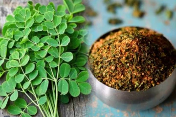 உடலில் இரும்புச்சத்தை அதிகரிக்க உதவும் முருங்கைக்கீரை பொடி.., எப்படி செய்வது?