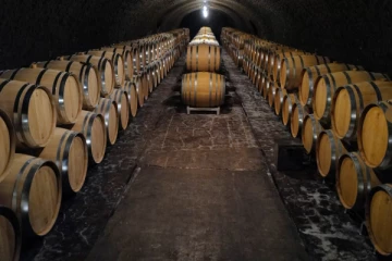 அமெரிக்காவின் அச்சுறுத்தல்களுக்கு அடிபணியமாட்டோம்: பிரான்ஸ் அமைச்சர்