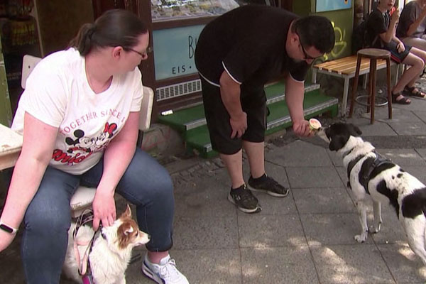 பெர்லினில் நாய்களுக்கு ஐஸ்கிரீம் பார்லர் | Ice Cream Parlor For Dogs In Berlin