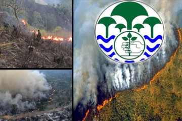 ஆண்டில் இதுவரை பதிவான காட்டுத் தீ சம்பவங்கள்