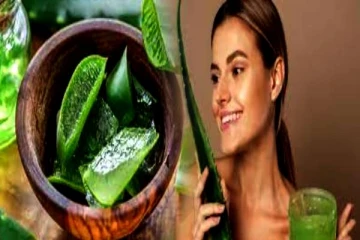 முகத்திற்கு தினமும் ஒரு புது பொலிவு கொடுக்கும் கற்றாழை..இப்படி போடுங்க- தீர்வு நிச்சயம்