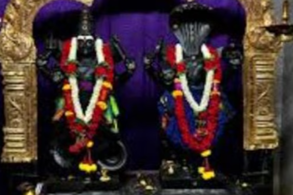 இந்த கோவிலில் பக்தர்கள் தான் அபிஷேகம் செய்ய வேண்டுமாம்- எங்கு தெரியுமா? | Ariyalur Thillai Kaliamman Raghu Kethu Worship