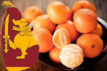 இலங்கையில் மெண்டரின் தோடம்பழ பயிர்ச்செய்கை: விவசாய அமைச்சின் அறிவிப்பு