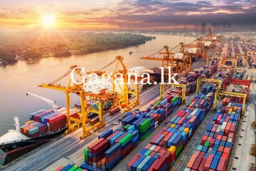 කොළඹ වරාය නෞකා වලින් පිරී යයි.