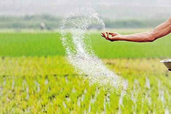உரத்திற்கான நிர்ணய விலையை கொண்டு வருவதற்கு நடவடிக்கை | Action To Bring Fixed Price For Fertilizer