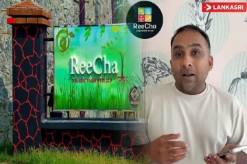 இயக்கச்சி றீச்சா தொடர்பில் முன்னாள் கிரிக்கெட் வீரர் வெளியிட்ட காணொளி