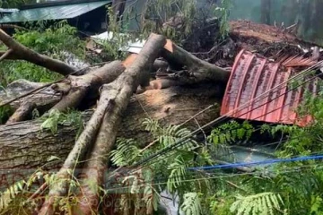 தனியார் மற்றும் அரச காணிகளின் உரிமையாளர்களுக்கு அவசர அறிவித்தல்