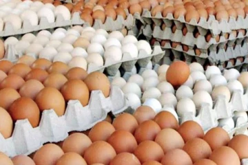 முட்டையின் விலையில் ஏற்பட்ட மாற்றம் : அரசாங்கம் எடுத்த நடவடிக்கை