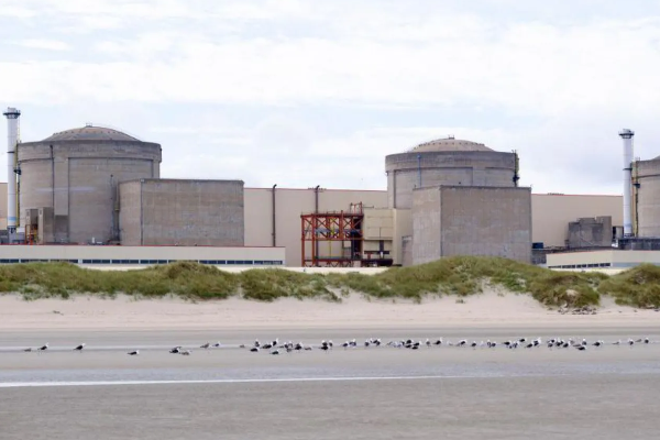 jelly fish attacks French nuclear plant to shut, பிரான்சில் அணுமின் நிலையத்தை சூழ்ந்த ஜெல்லி மீன்கள்! நிறுத்தப்பட்ட மின் உற்பத்தி