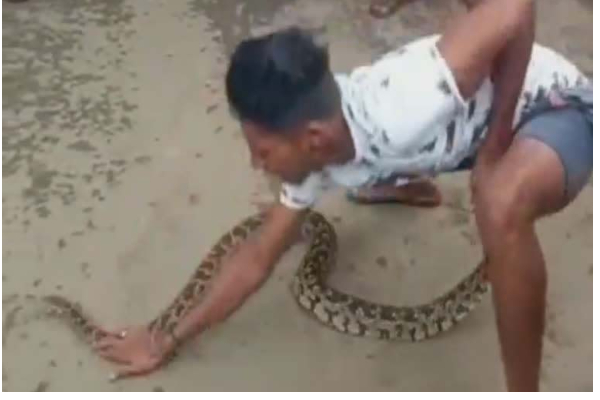 ஆற்றில் மிதந்து வந்த 10 அடி பாம்பு: அலறியடித்து ஓடிய மக்கள்! இளைஞர் செய்த தரமான செயல் | 10 Feet Python Caught By Youth In Kanyakumari