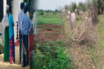 மயிலத்தமடு மாதவனையில் அத்துமீறிய காணி அபகரிப்புக்கு தமிழ்த் தேசிய இளைஞர் பேரவை கண்டனம்!