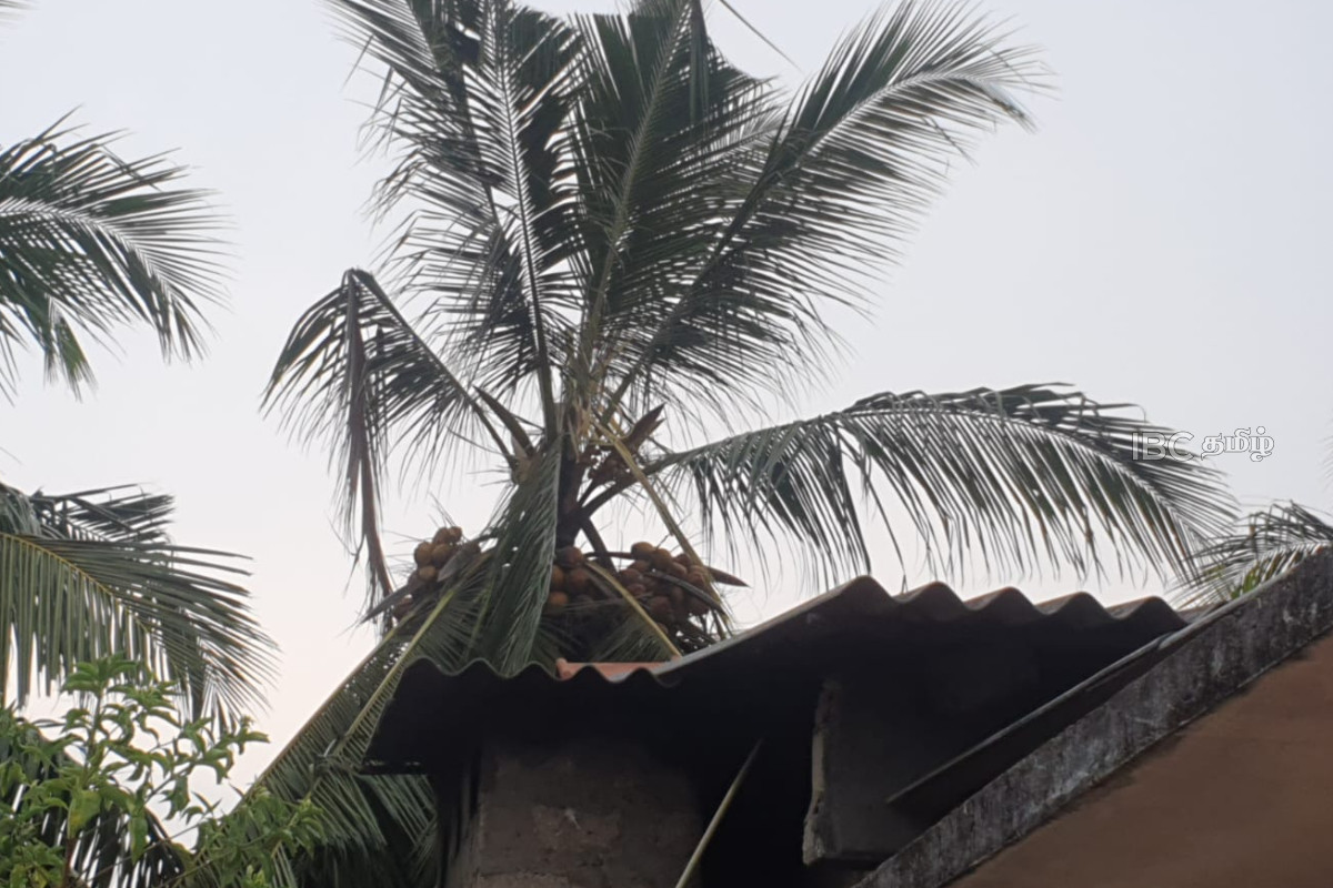 யாழில் மின்னல் தாக்கத்திற்கு இலக்காகி வீடொன்று சேதம்! | A House Was Damaged By Lightning In Jaffna