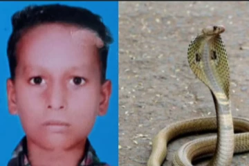 இயற்கை உபாதைக்காக சென்று திரும்பிய போது வலியால் துடித்த சிறுவன்! அங்கு கொடிய விஷப்பாம்பை கண்டு அதிர்ந்த பெற்றோர்