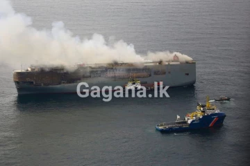 නවතම මෝටර් රථ 4000ක් ගිනිබත් වෙයි..!