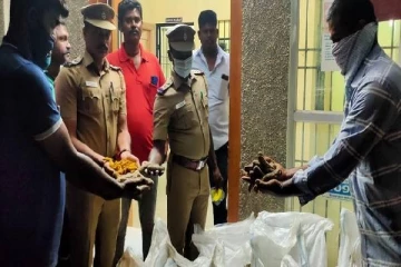 இலங்கைக்கு கடத்த தயார் செய்து வைக்கப்பட்டிருந்த  மஞ்சள் பறிமுதல்
