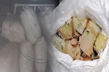 இலங்கையில் பெருந்தொகையான பீடி இலைகள் மீட்பு