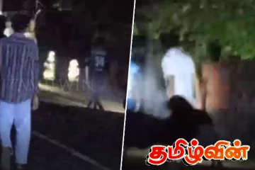 குச்சவெளியில் ஊருக்குள் புகுந்த காட்டு யானையால் பரபரப்பு