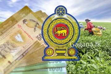 මිල රු.4000කින් අඩු කරමින් සහනාධාර ලබාදීම ඇරඹෙයි.