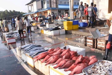 இலங்கை மக்களின் வாழ்வில் ஏற்பட்டுள்ள மாற்றம் - வெறுமையாக காட்சியளிக்கும் மீன் சந்தை