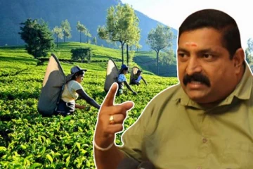 அரசாங்கத்தின் தீர்மானங்களை நிறுவனங்கள் மீற முடியாது: வடிவேல் சுரேஷ் சுட்டிக்காட்டு