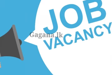 මේ දේ නම් රැකියාවක් කරන නොකරන, අයට ගොඩක් වැදගත් වෙයි?.