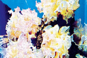 வெள்ளை பூஞ்சை தொற்று என்றால் என்ன ? யாரை அதிகம் பாதிக்கின்றது?