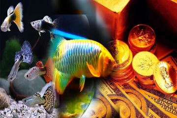 பணம் அதிகரிக்க வாஸ்து மீன் சொல்லும் ரகசியம்