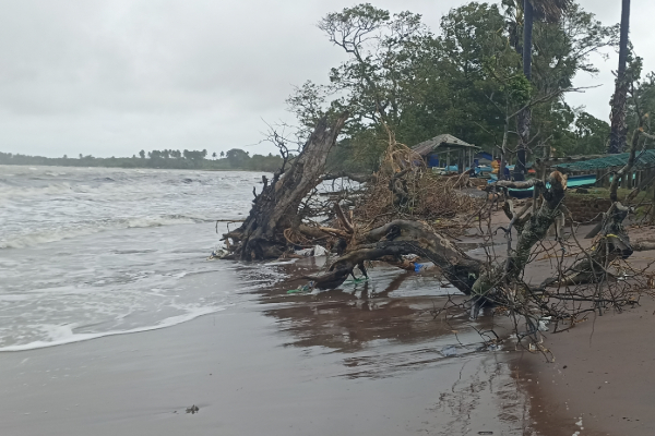 திருகோணாமலை மாவட்டத்திற்கு சிவப்பு எச்சரிக்கை; மீனவர்கள் செல்ல வேண்டாம் | Red Alert Issued For Trincomalee District
