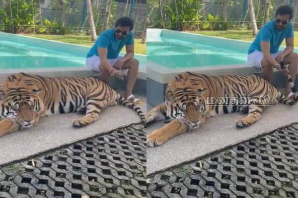 புலி வாலை பிடித்து டயலொக் பேசிய பிரபலம்! தீயாய் பரவும் வீடியோ காட்சி | Santhanam S Viral Video