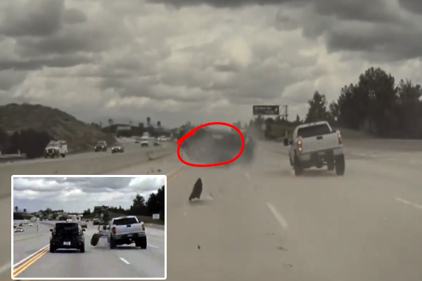 திடீரென வானிற்கு தூக்கி வீசப்பட்ட வாகனம்..! வைரலாக பரவும் காணொளி - ஐபிசி தமிழ்