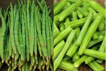 முருங்கைக்காய் சாப்பிடுவதால் இவ்வளவு தீமைகள் ஏற்படுமா? அவசியம் தெரிந்து கொள்ளுங்கள்