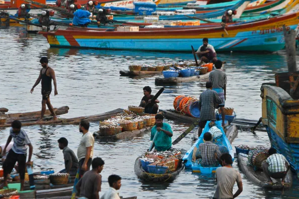 கைது செய்யப்பட்ட இந்திய கடற்றொழிலாளர்கள் விளக்கமறியலில்... | 31 Arrested Indian Fishermen Remanded In Custody கைது செய்யப்பட்ட இந்திய கடற்றொழிலாளர்கள் விளக்கமறியலில்... | 31 Arrested Indian Fishermen Remanded In Custody