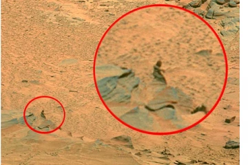 உயிருடன் இருக்கும் ஏலியன்? எங்கு தெரியுமா? பரபரப்பை ஏற்படுத்திய காட்சி