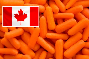 கனடாவில் அவசரமாக திரும்பப்பெறப்படும் ஆர்கானிக் கேரட்கள்., மோசமான தொற்று பரவும் அபாயம்